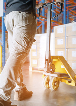 Reclutamiento Personal Sector Logistica y Transporte